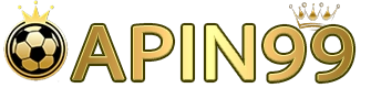 APIN99 Logo